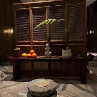 胎生狗脊蕨一叶蕨类植物老桩盆景网红蕨室内绿植造景禅意中式盆栽