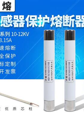 高压限流熔断器XRNP1-10KV-12KV-0.5A1A2A3A电压互感器PT保险熔管