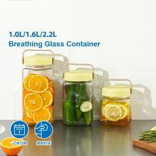 乐扣乐扣密封罐酵素桶玻璃储物罐呼吸发酵罐自动排气食品级泡菜坛