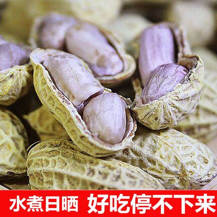 25年新货龙岩水煮花生咸干白晒休闲零食