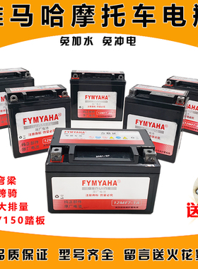 雅马哈摩托车电瓶12v通用免维护9a踏板助力7A女装湾梁车125蓄电池