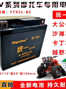 适用小高赛大公牛卡丁车越野沙滩摩托车电池 YTX5L-BS统一蓄电瓶