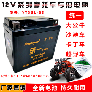 适用小高赛大公牛卡丁车越野沙滩摩托车电池 BS统一蓄电瓶 YTX5L