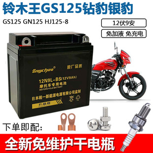 适摩托车干电瓶大地鹰王DD125EDD150EDD250DD350E巡航太子蓄电池