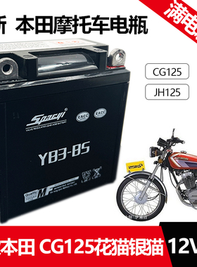 适用老款苯田CG125摩托车电瓶 花猫银猫12V3A蓄电池免维护干 电瓶