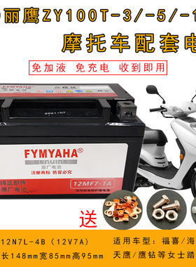 雅马哈凌鹰迅鹰尚领450丽鹰ZY100T-3-5-10踏板摩托车电瓶MTX7A-BS