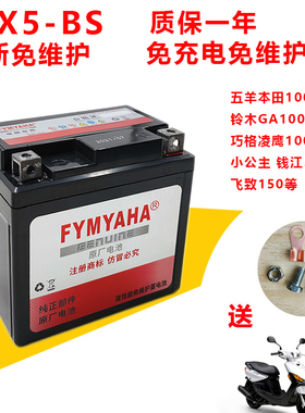 适用雅马哈新巡鹰巧格i赛鹰旭鹰福禧AS125摩托车电瓶电池MTX5L-BS