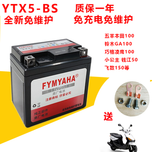 适用雅马哈新巡鹰巧格i赛鹰旭鹰福禧AS125摩托车电瓶电池MTX5L