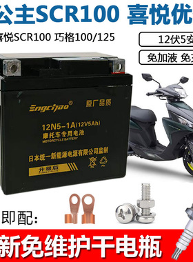 摩托车干电瓶雅马哈YS150飞致 115凌骏 RS100飞鹰花嫁FY100蓄电池