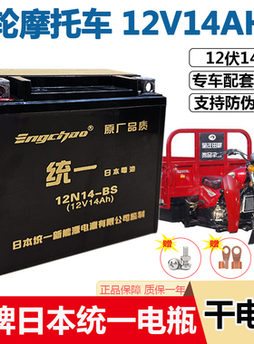 三轮摩托车电池12V14A32A免维护蓄电瓶宗申福田隆鑫燃油三轮通用