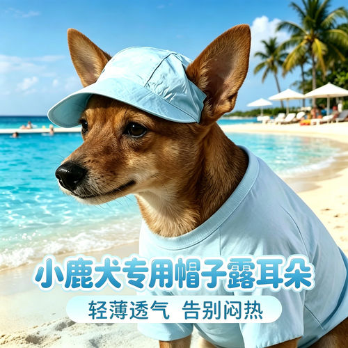小鹿犬专用狗狗帽子小狗宠物狗露耳朵遮阳帽小型犬帽夏天装扮防晒