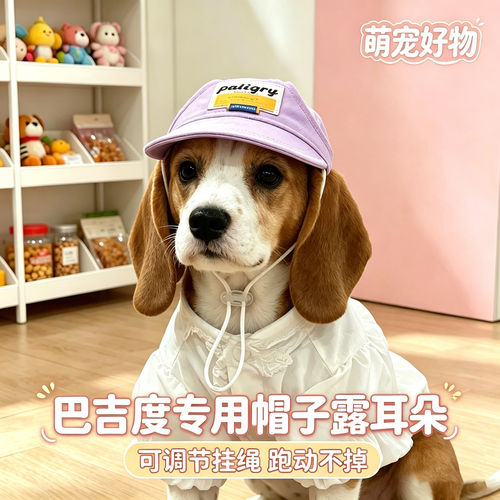 巴吉度专用幼犬狗狗帽子小狗宠物狗露耳朵遮阳帽大型犬配饰太阳帽