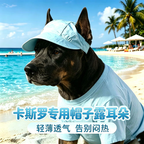 卡斯罗专用狗狗帽子小狗宠物狗露耳朵遮阳帽大型犬帽棒球帽太阳帽