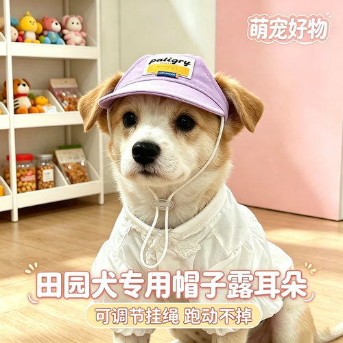田园犬专用狗狗帽子小狗宠物狗露耳朵遮阳帽小型犬夏天夏季太阳帽
