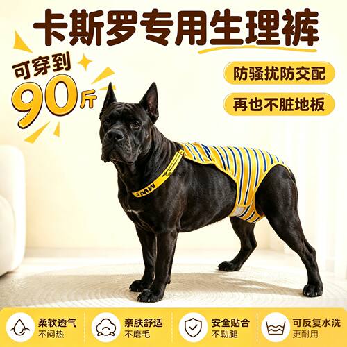 卡斯罗专用狗狗生理裤母狗姨妈巾姨妈裤宠物狗安全裤生理期发情裤