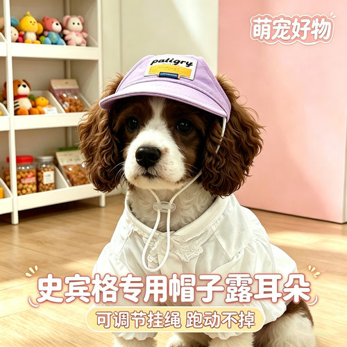 史宾格专用幼犬狗狗帽子小狗宠物狗露耳朵遮阳帽大型犬太阳帽装扮