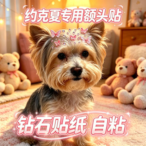 约克夏专用狗狗额头贴小型犬配饰狗宠物贴纸装饰狗狗头饰蝴蝶饰品