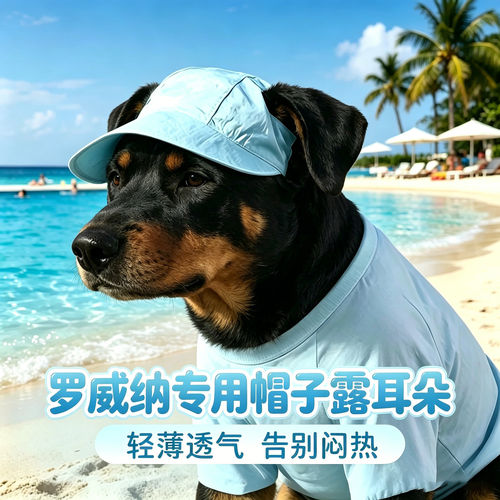 罗威纳专用狗狗帽子小狗宠物狗露耳朵遮阳帽大狗太阳帽装扮棒球帽