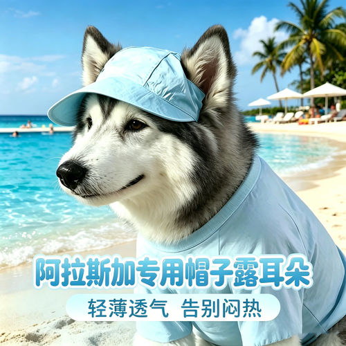 阿拉斯加专用狗狗帽子小狗宠物狗露耳朵遮阳帽大型犬大狗帽太阳帽