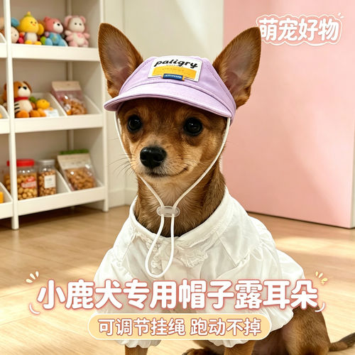 小鹿犬专用狗狗帽子小狗宠物狗露耳朵遮阳帽小型犬太阳帽防晒带的