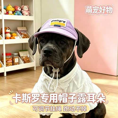 卡斯罗专用幼犬狗狗帽子小狗宠物狗露耳朵遮阳帽大型犬夏季太阳帽