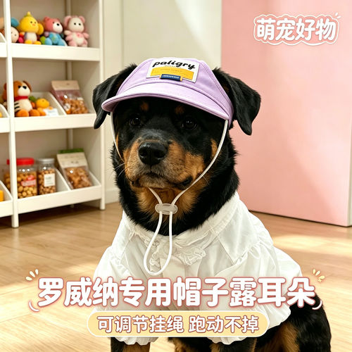 罗威纳专用幼犬狗狗帽子小狗宠物狗露耳朵遮阳帽大型犬太阳帽外出