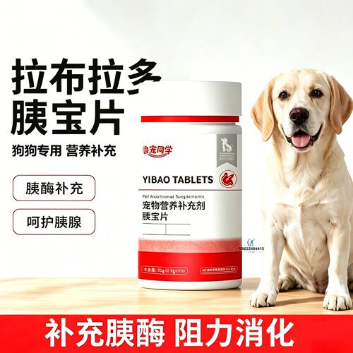 拉布拉多专用狗狗胰宝片宠物胰腺保健品消化酶狗补胰酶胰宝小狗犬