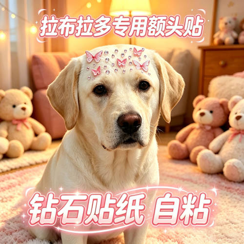 拉布拉多专用狗狗额头贴大型犬配饰狗宠物贴纸狗狗头饰蝴蝶装饰品