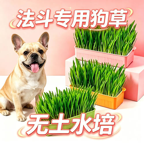 法斗犬斗牛犬专用狗草狗狗吃的草小狗零食宠物盆栽小型犬排毛食物