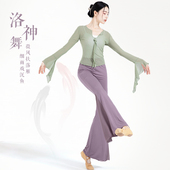 中长款 现代舞练功服女长袖 形体舞蹈上衣微喇鱼尾裤 古典跳舞网纱衣
