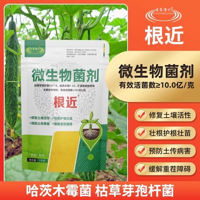 博川根近枯草芽孢杆菌哈茨木霉菌豇豆蔬菜花卉根部土壤微生物菌剂