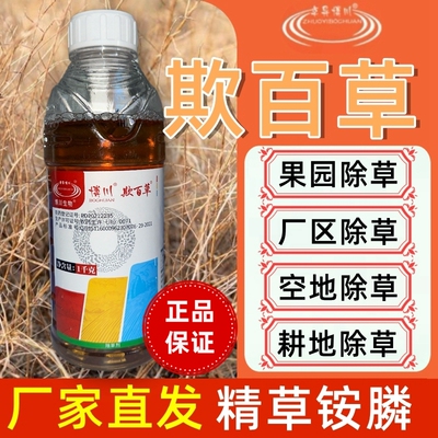 博川欺百草精草胺磷胺盐牛筋草小飞蓬杂草果园正品农药除草剂批发