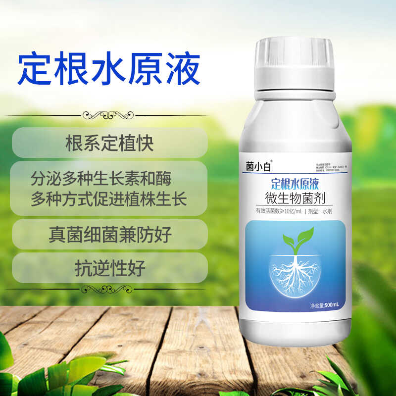 中向推荐定根水原液微生物菌剂