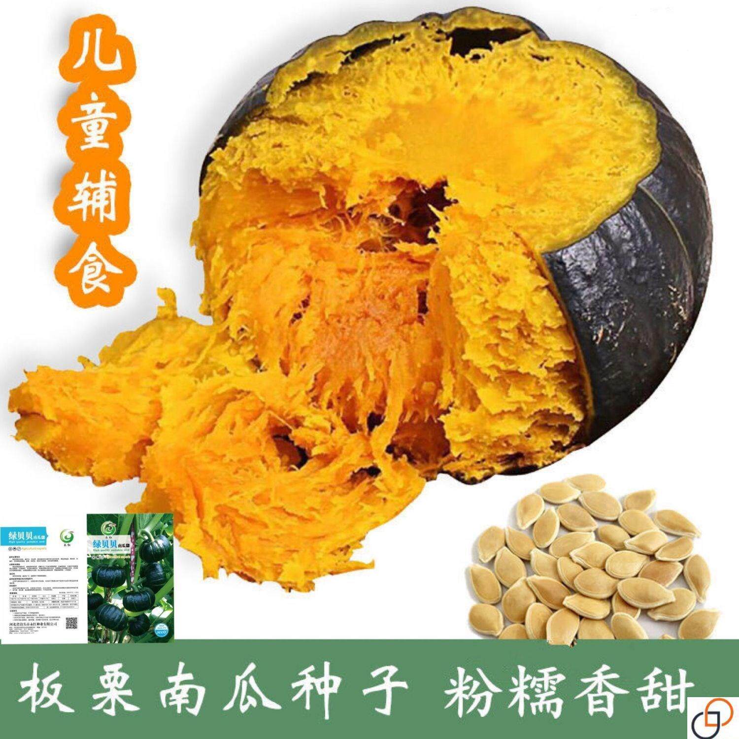 贝贝南瓜种子超甜板栗南瓜日本迷你小南瓜籽盆栽四季蔬菜种子大全