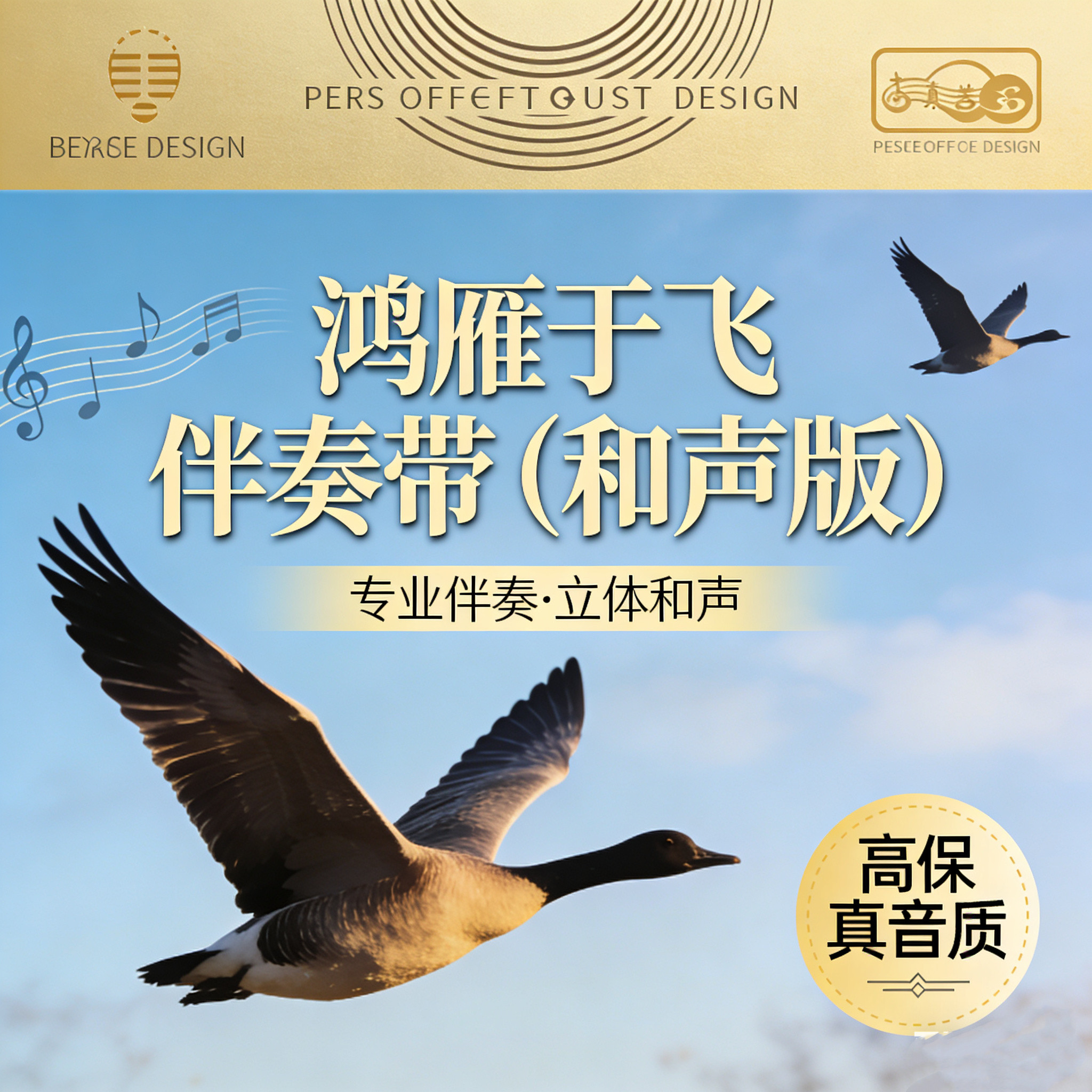 鸿雁于飞伴奏 刀郎带和声伴奏 高品质伴奏 扒带定制伴奏
