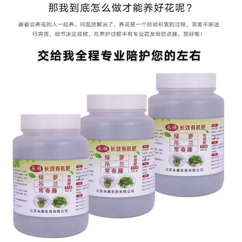观叶植物专用液体肥营养液肥料绿萝吊兰芦荟龟背竹铁树