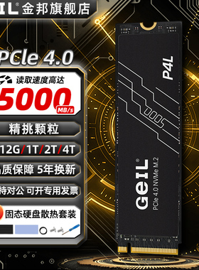 GEIL金邦P4L固态硬盘4t2t1t台式电脑笔记本PCie4存储ps5固态m2