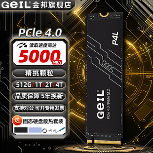 GEIL金邦P4L固态硬盘4t2t1t台式 电脑笔记本PCie4存储ps5固态m2