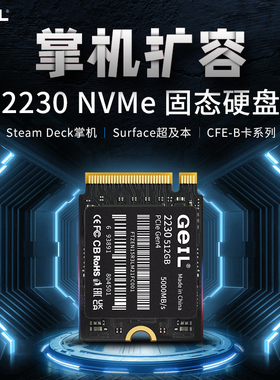 Geil金邦P4L短板2230固态硬盘1T2T掌机游戏机SSD台式机笔记本电脑