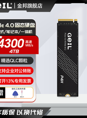 GEIL金邦P4H 4TB M.2笔记本台式机SSDm2固态硬盘4T大容量视频存储