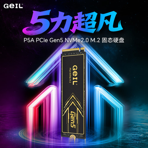 GeIL金邦P5APCIe5.0SSD