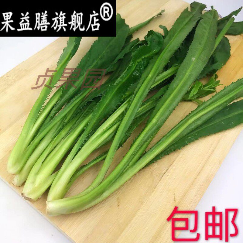 新鲜刺芫荽 刺芹洋鹅芥假芜茜元西 大香菜缅芜荽香菜包邮带箱1斤