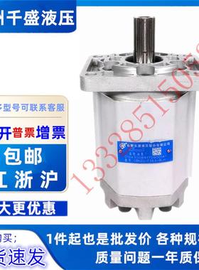 合肥长源齿轮泵 CBNZQ-F520/F525/F532/F540/F550/F563-BLPL/BLHL