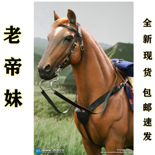 DID 1/6兵人模型  美国陆军第7骑兵团（1876） 战马