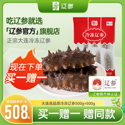 【买一赠一】辽参官方旗舰店大连海参辽刺参礼盒包装500g 非即食