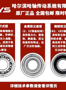 RYS哈尔滨轴承哈轴技研6410 6411 6412 6413 6414 6415 6420开式