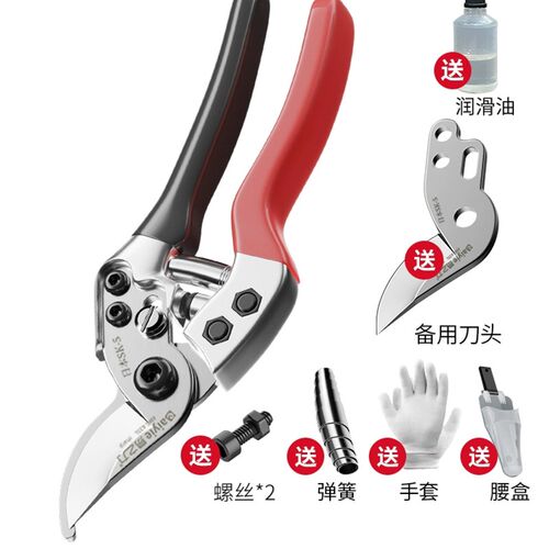 日本原装进口修枝剪园艺剪树枝专用剪刀艺园剪花剪树剪子果树花木