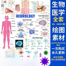 新版科研绘图ppt素材ai模板生物医学可编辑插图细胞流程图通路图