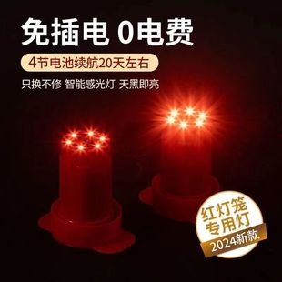 爆品春节灯笼免插电池新款伴侣LED防水感光控遥控户外红灯笼灯泡