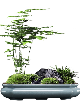 哥窑紫砂盆新中式造景大口径花盆